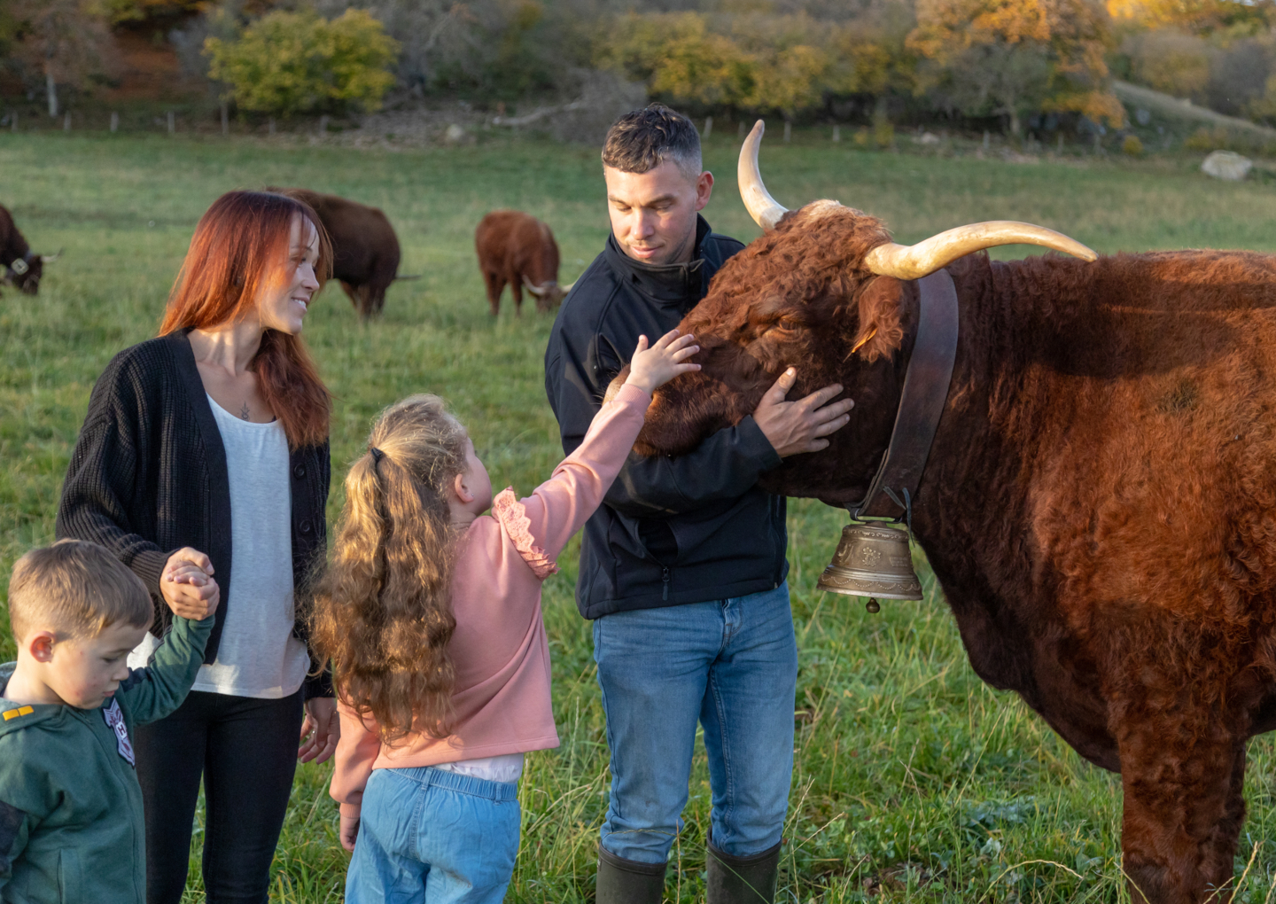 Ovalie Une Belle Salers égérie Du Salon De Lagriculture 20 